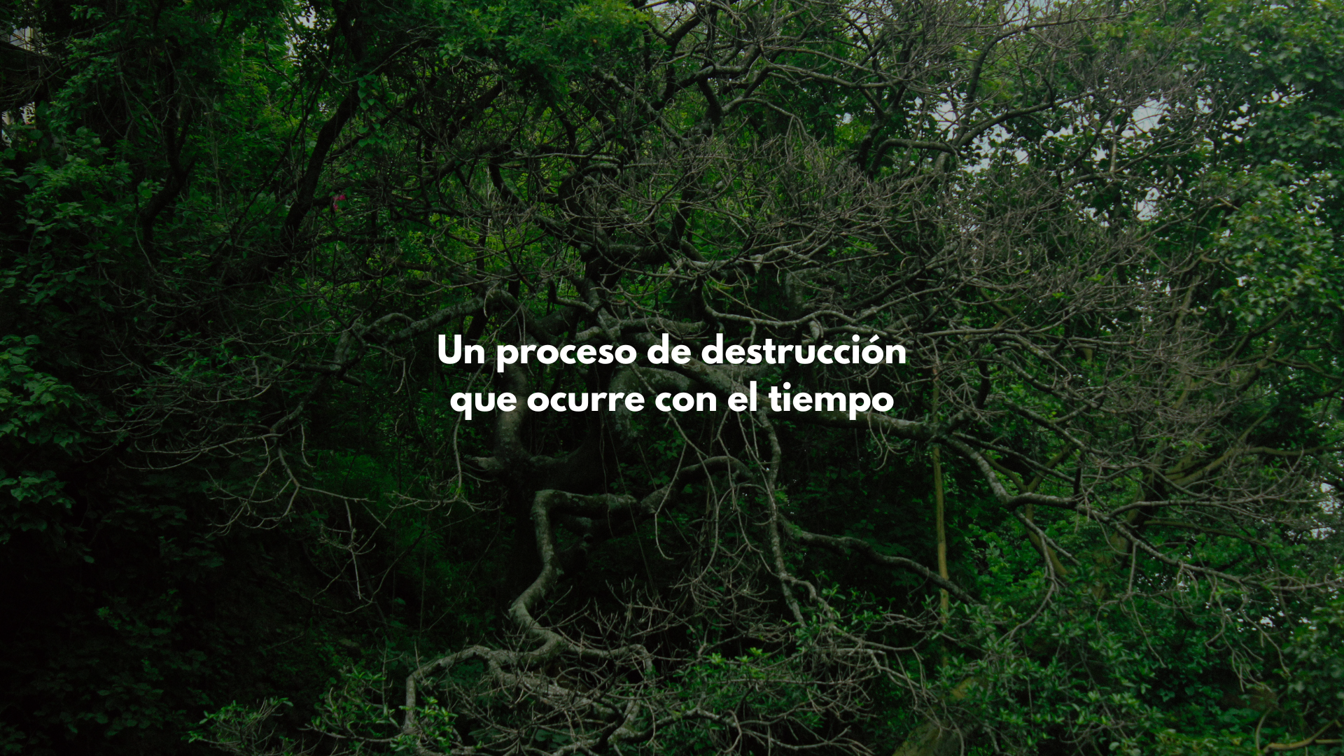 El Salto.