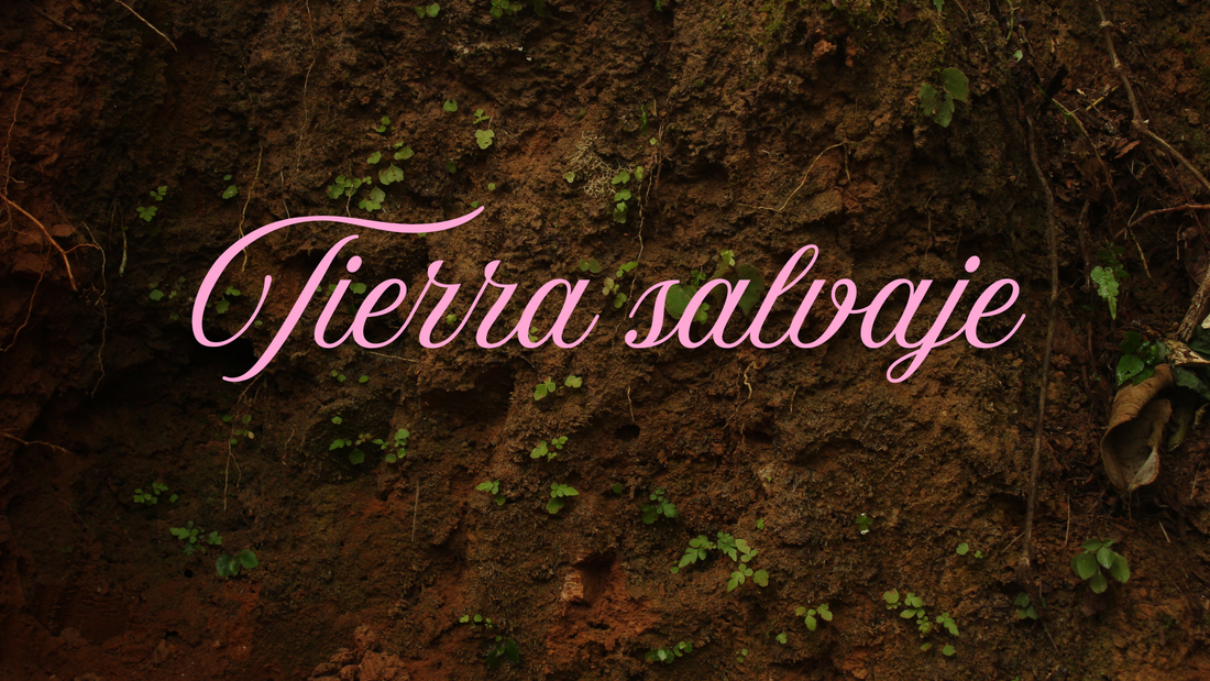 Los 4 elementos en la cerámica.